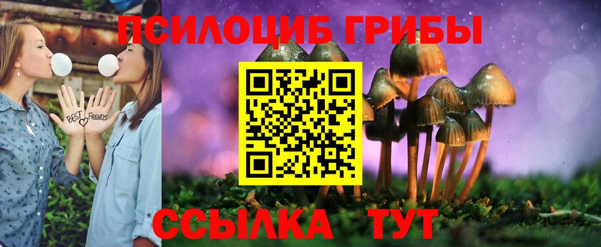 Псилоцибиновые грибы прущие грибы  Вход с VPN  Ступино 